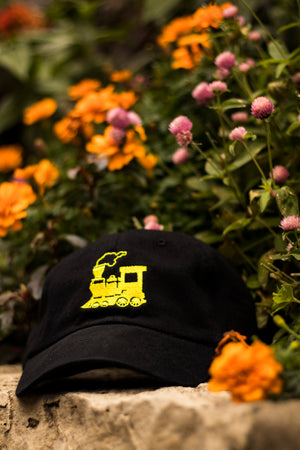 GRAVY TRAIN DAD HAT (BLACK/GOLD)